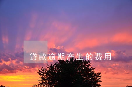 贷款逾期产生的费用 贷款逾期产生的费用