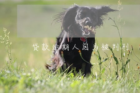 贷款逾期人因为被判刑 贷款逾期人因为被判刑