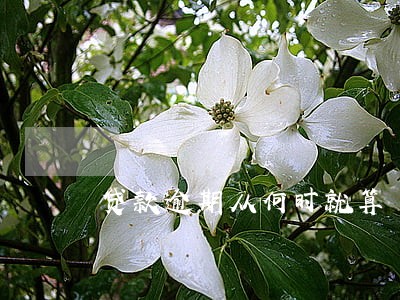 贷款逾期从何时就算