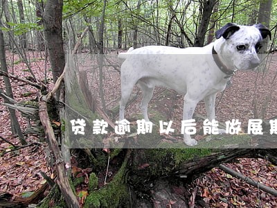 贷款逾期以后能做展期