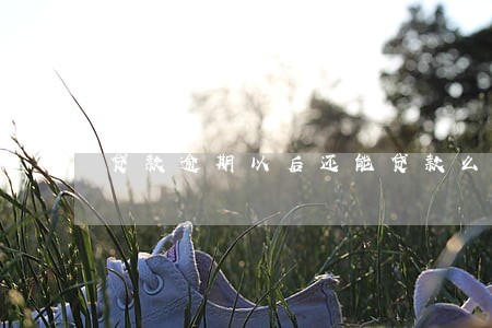 贷款逾期以后还能贷款么 贷款逾期以后还能贷款么