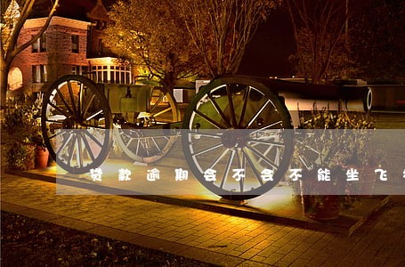 贷款逾期会不会不能坐飞机 贷款逾期会不会不能坐飞机