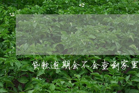 贷款逾期会不会查到家里人 贷款逾期会不会查到家里人