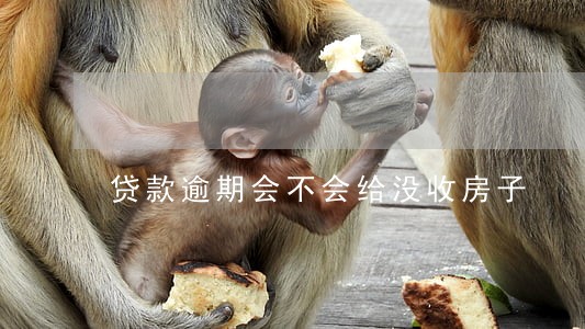 贷款逾期会不会给没收房子 贷款逾期会不会给没收房子