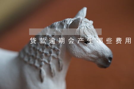 贷款逾期会产生哪些费用 贷款逾期会产生哪些费用