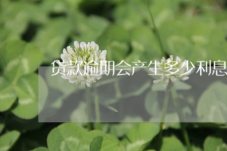 贷款逾期会产生多少利息 贷款逾期会产生多少利息