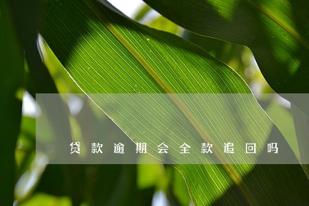 贷款逾期会全款追回吗 贷款逾期会全款追回吗