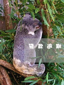 贷款逾期会冻结财产吗 贷款逾期会冻结财产吗