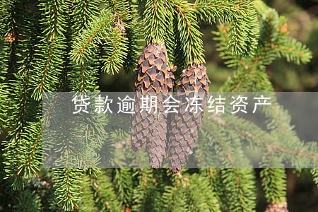 贷款逾期会冻结资产