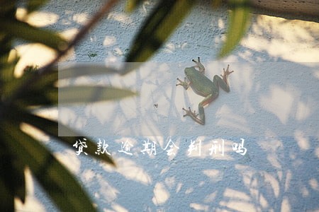 贷款逾期会判刑吗 贷款逾期会判刑吗