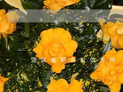 贷款逾期会发信息吗 贷款逾期会发信息吗