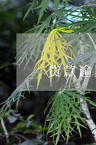 贷款逾期会对生活有什么影响 贷款逾期会对生活有什么影响