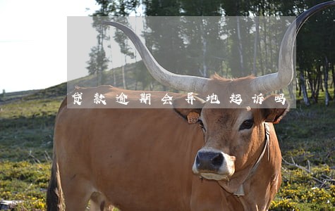贷款逾期会异地起诉吗 贷款逾期会异地起诉吗