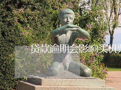 贷款逾期会影响买机票吗 贷款逾期会影响买机票吗