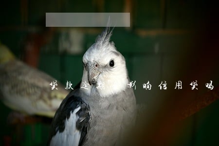 贷款逾期会影响信用贷吗 贷款逾期会影响信用贷吗