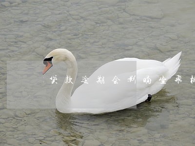 贷款逾期会影响坐飞机吗 贷款逾期会影响坐飞机吗