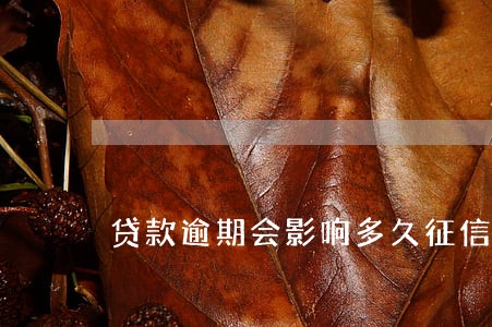 贷款逾期会影响多久征信 贷款逾期会影响多久征信