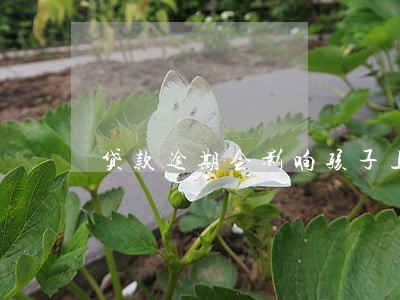 贷款逾期会影响孩子上初中吗 贷款逾期会影响孩子上初中吗