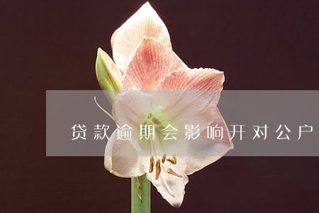 贷款逾期会影响开对公户吗 贷款逾期会影响开对公户吗