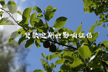 贷款逾期会影响征信 贷款逾期会影响征信