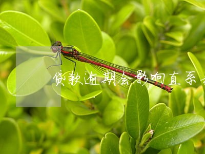 贷款逾期会影响直系亲属吗 贷款逾期会影响直系亲属吗