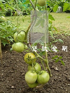贷款逾期会影响考编制吗 贷款逾期会影响考编制吗