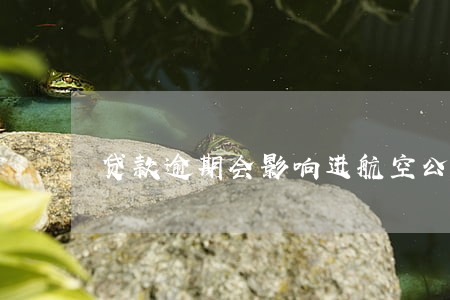 贷款逾期会影响进航空公司吗 贷款逾期会影响进航空公司吗