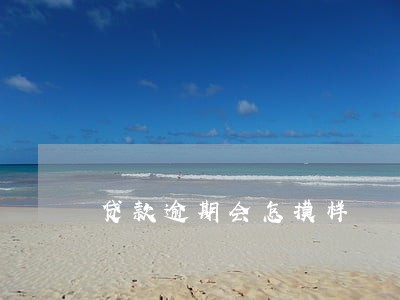 贷款逾期会怎摸样 贷款逾期会怎摸样