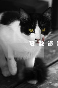 贷款逾期会扣卡里的钱吗 贷款逾期会扣卡里的钱吗
