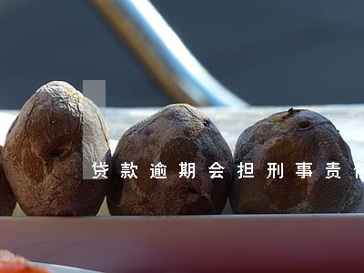 贷款逾期会担刑事责任吗 贷款逾期会担刑事责任吗