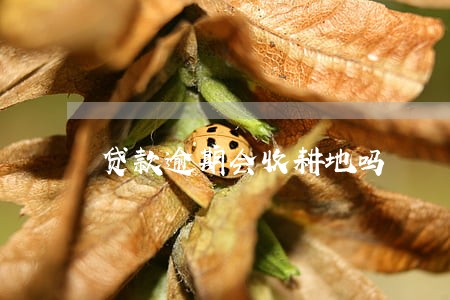 贷款逾期会收耕地吗 贷款逾期会收耕地吗