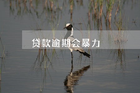 贷款逾期会暴力 贷款逾期会暴力