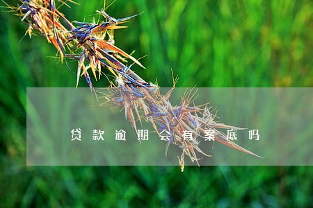 贷款逾期会有案底吗 贷款逾期会有案底吗