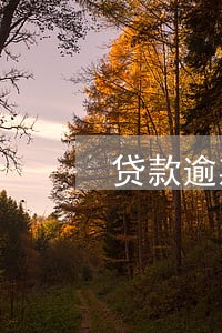贷款逾期会查找转账记录吗 贷款逾期会查找转账记录吗