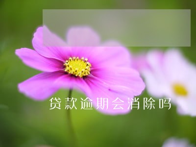 贷款逾期会消除吗 贷款逾期会消除吗