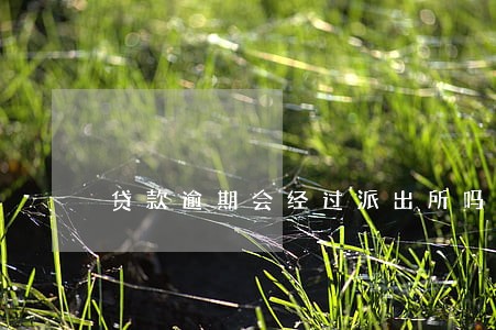 贷款逾期会经过派出所吗 贷款逾期会经过派出所吗