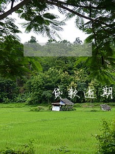贷款逾期会给家里人打电话吗 贷款逾期会给家里人打电话吗