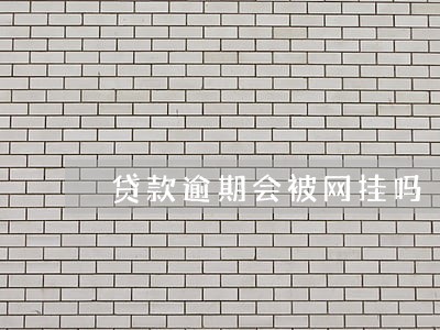 贷款逾期会被网挂吗 贷款逾期会被网挂吗