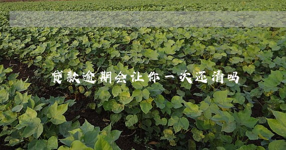 贷款逾期会让你一次还清吗 贷款逾期会让你一次还清吗