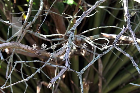 贷款逾期会诉讼吗 贷款逾期会诉讼吗