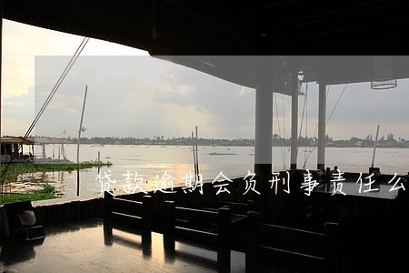 贷款逾期会负刑事责任么 贷款逾期会负刑事责任么