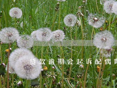 贷款逾期会起诉配偶吗 贷款逾期会起诉配偶吗