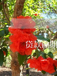贷款逾期会通知家属吗 贷款逾期会通知家属吗
