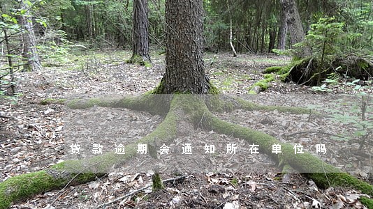 贷款逾期会通知所在单位吗 贷款逾期会通知所在单位吗