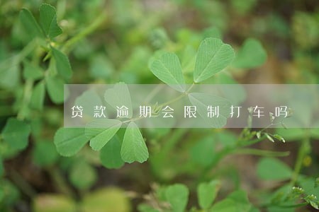 贷款逾期会限制打车吗 贷款逾期会限制打车吗