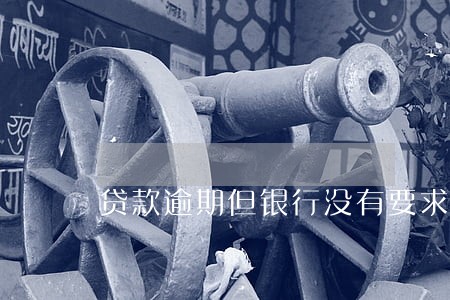 贷款逾期但银行没有要求还款 贷款逾期但银行没有要求还款