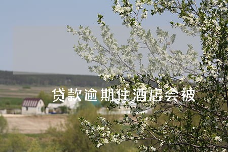 贷款逾期住酒店会被 贷款逾期住酒店会被
