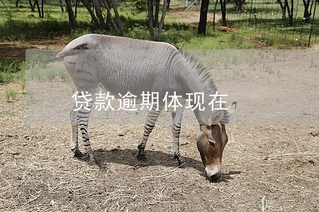 贷款逾期体现在 贷款逾期体现在