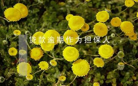 贷款逾期作为担保人 贷款逾期作为担保人