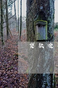 贷款逾期保存几年 贷款逾期保存几年